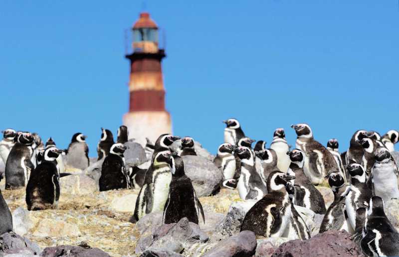 Puerto Deseado habilita la llegada de turistas con permiso de circulación