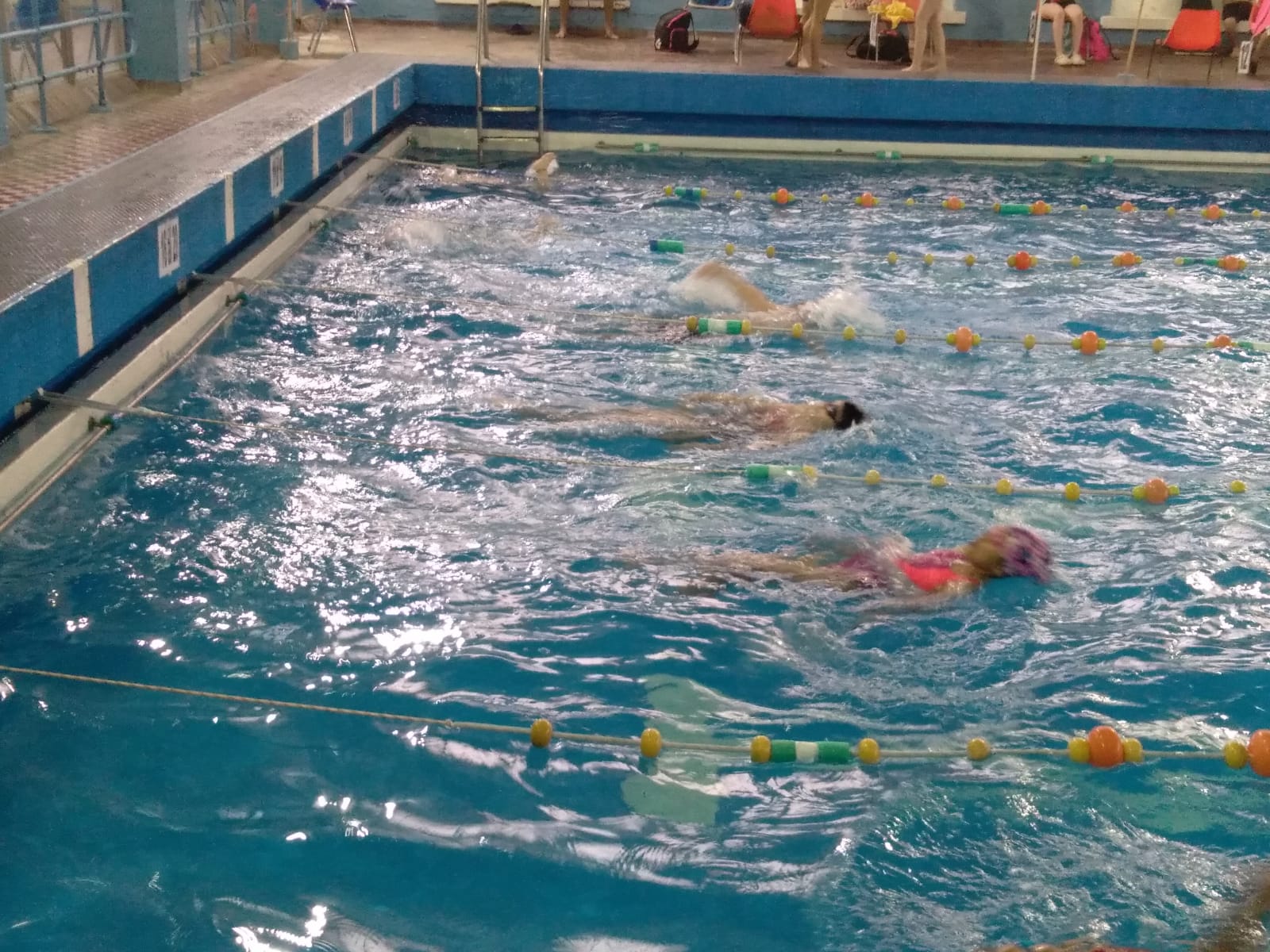 Se realizó torneo interno de natación en el Hispano Americano