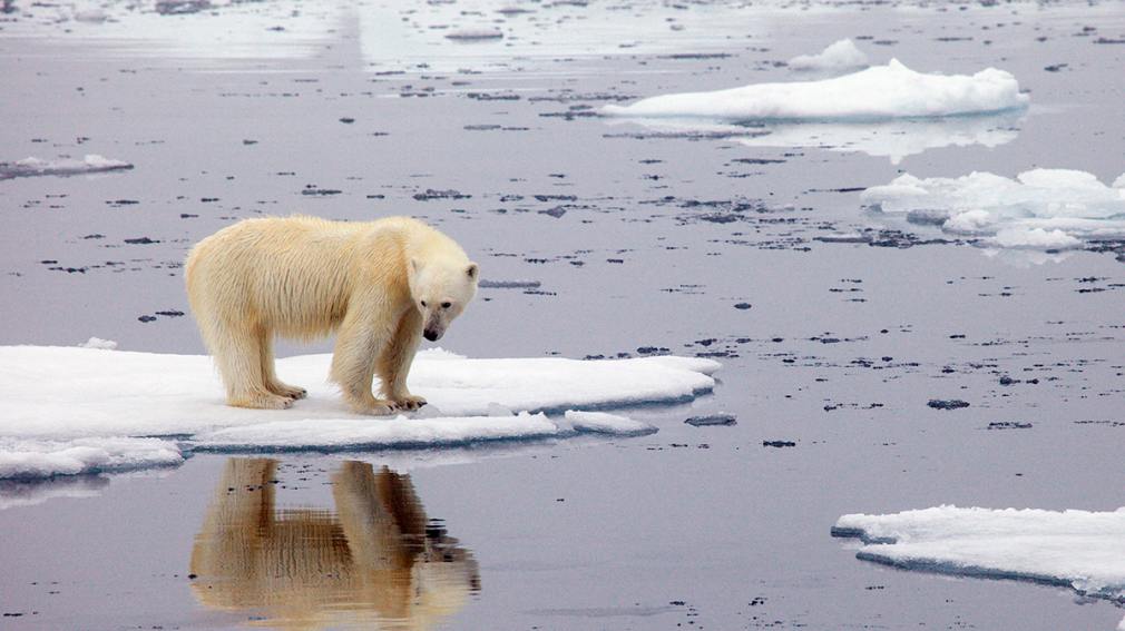 La ONU confirma récord de calor en el Ártico