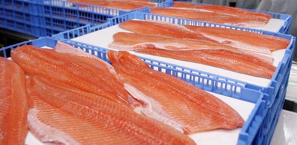 El salmón chileno se exportará a través del aeropuerto de El Calafate