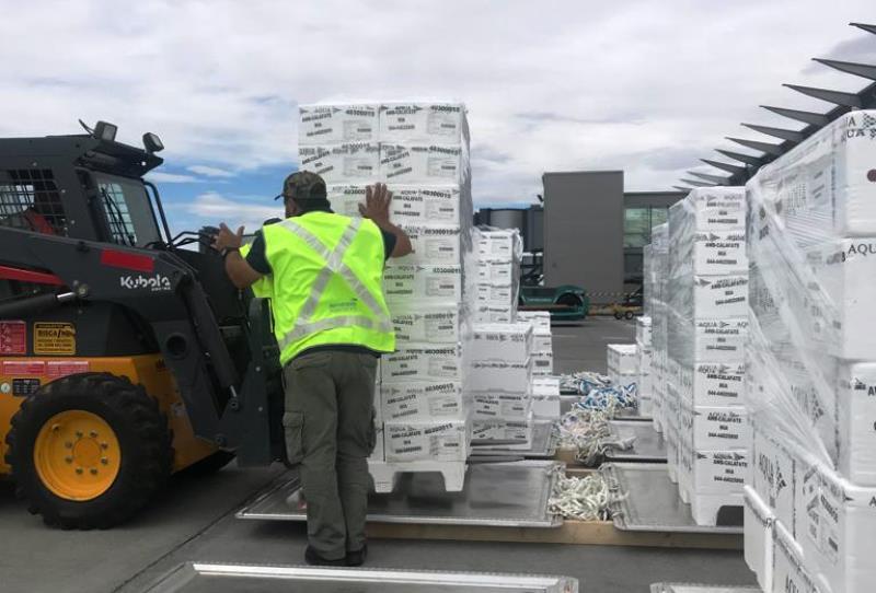 Más de 55.000 kg de salmón chileno ya se exportaron vía Calafate