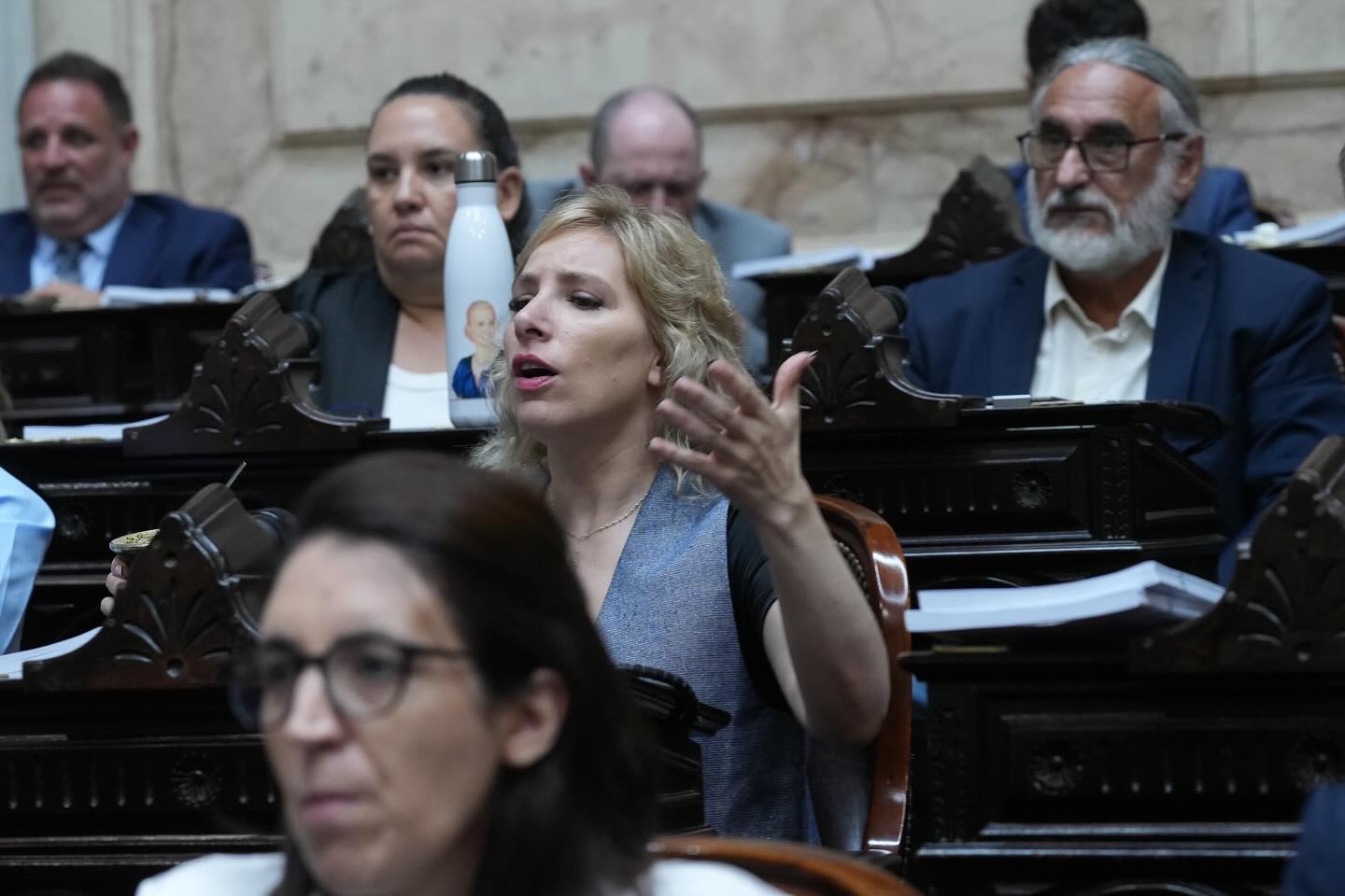 Legisladores patagónicos rechazaron cambios en la Zona Fría