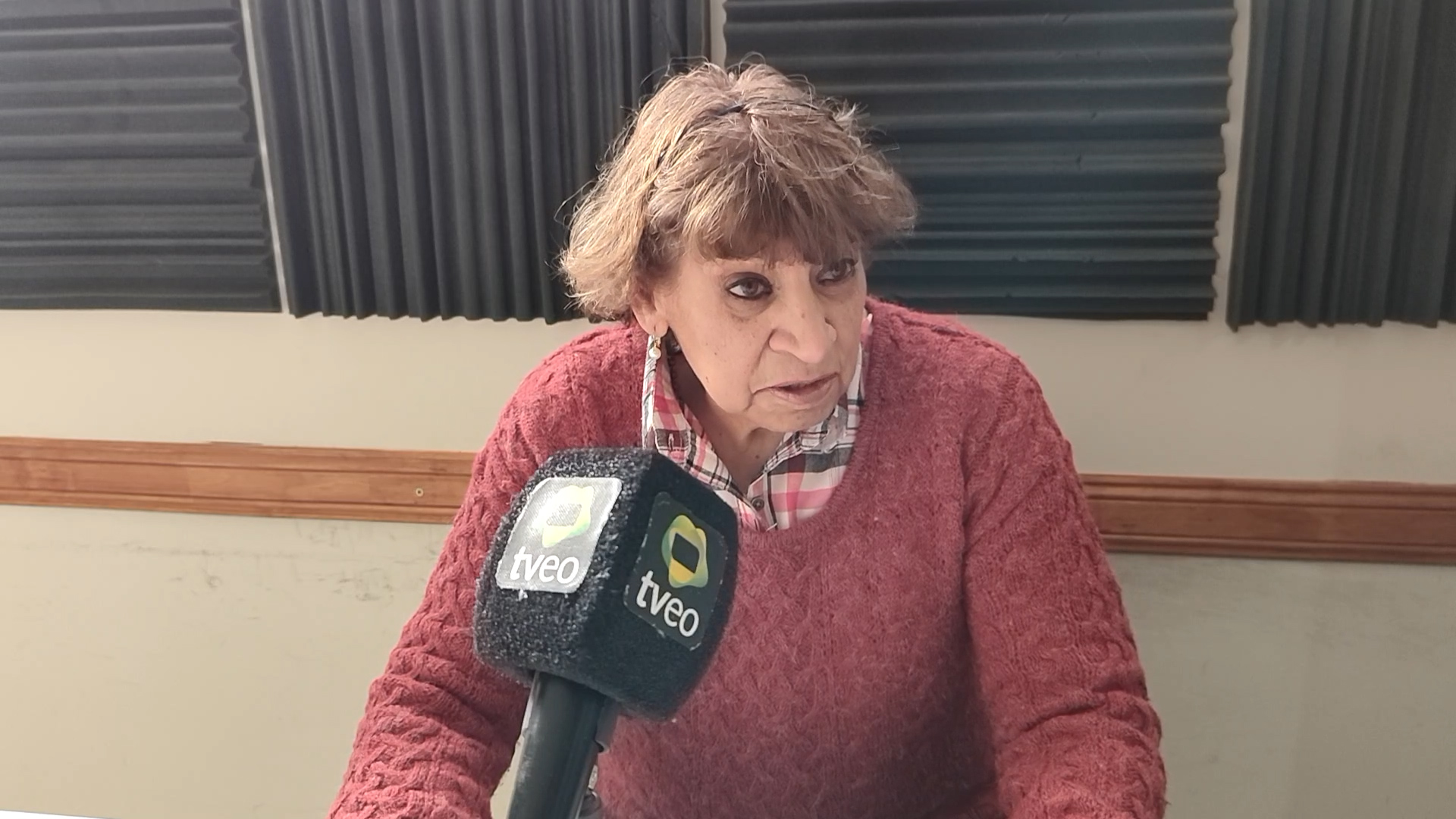 Olga Radbone apuesta a representar a los pasivos en la CSS