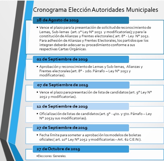 cronograma elecciones