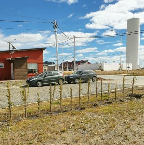 IMG-20210130-WA0045